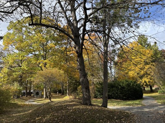 Halifax Public Gardens by null