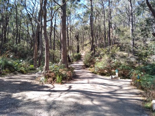 Cleland National Park by null