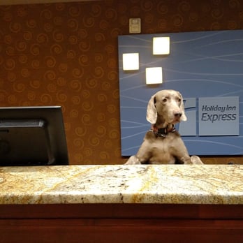 Holiday Inn Express - The best welcome to a hotel I have ever had! Dodger made my week in Idaho the best Christmas vacation ever!!! - Hotels Near Me - Coeur D Alene, Idaho Holiday Inn Express - The best welcome to a hotel I have ever had! Dodger made my week in Idaho the best Christmas vacation ever!!! - Hotels Near Me - Coeur D Alene, Idaho