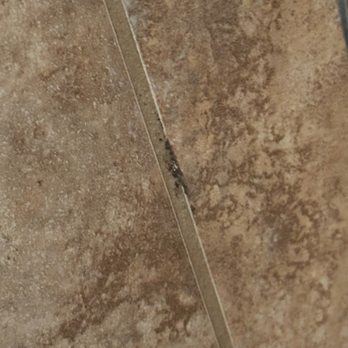 Sun Outdoors Yellowstone North - Black mold on a shower wall? - Vacation Rentals Near Me - Gardiner, Montana Sun Outdoors Yellowstone North - Black mold on a shower wall? - Vacation Rentals Near Me - Gardiner, Montana