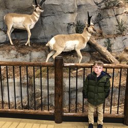 Cabela's