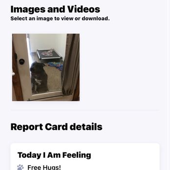 Blessed Paws Luxury Pet Resort - This "report card" that says he was doing so good - LIES - Pet Groomers Near Me - Spring, Texas