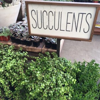 Sun River Gardens - Succulents - Nurseries & Gardening Near Me - Orem, Utah