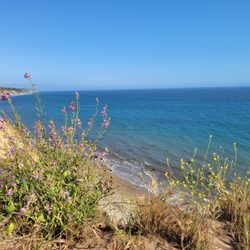 More Mesa Beach