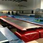 Photo of Game Gymnastics & Daycare