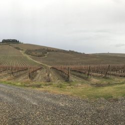 Foresteria Villa Cerna - Parking lot on a cloudy day.