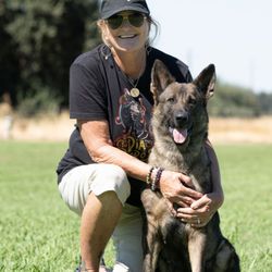 Dogtown K9 Training