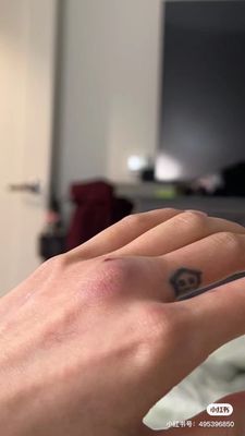 The Grand Boston by null