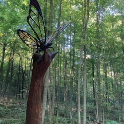 Crawford Lake Conservation Area - Amazing Butterfly
