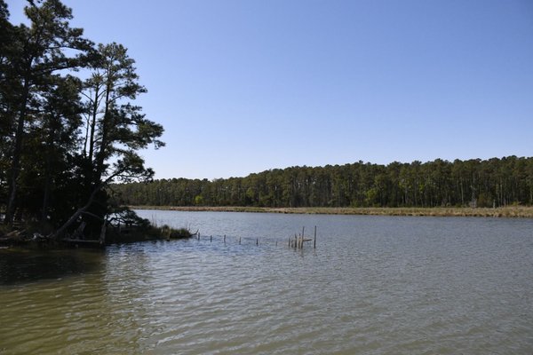 Belle Isle State Park by null