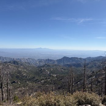 Mt Lemmon - Hiking Near Me