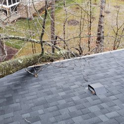 Arbor Care Tree Service & Affordable Tree Specialist