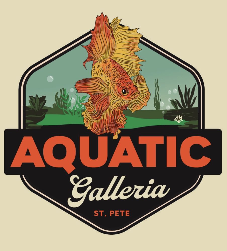AQUATIC GALLERIA 4201 4th St N, St. Petersburg, Florida Local Fish
