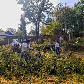 Woody's Tree Service - We lot clearing! Are you looking for clear a lot to construct your future house or just make your property look beautiful. We can help! - Tree Services Near Me - Sanger, Texas Woody's Tree Service - We lot clearing! Are you looking for clear a lot to construct your future house or just make your property look beautiful. We can help! - Tree Services Near Me - Sanger, Texas