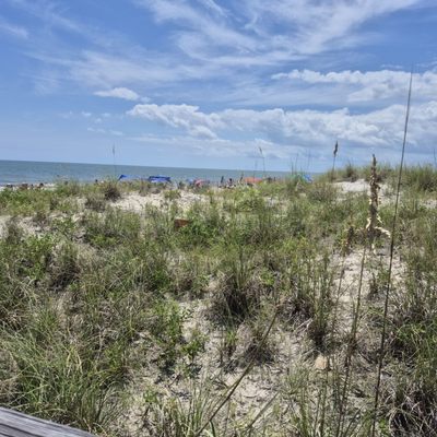 Tybee Beach Pier and Pavilion by null