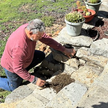 Safe & Alive Bee Hive Removal - Looking for the Queen - Pest Control Near Me - San Diego, California Safe & Alive Bee Hive Removal - Looking for the Queen - Pest Control Near Me - San Diego, California