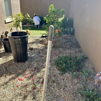 RM Landscaping - Another hard working day - Landscaping Near Me RM Landscaping - Another hard working day - Landscaping Near Me