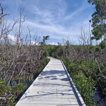 Rotary Park - Parks Near Me - Cape Coral, Florida Rotary Park - Parks Near Me - Cape Coral, Florida