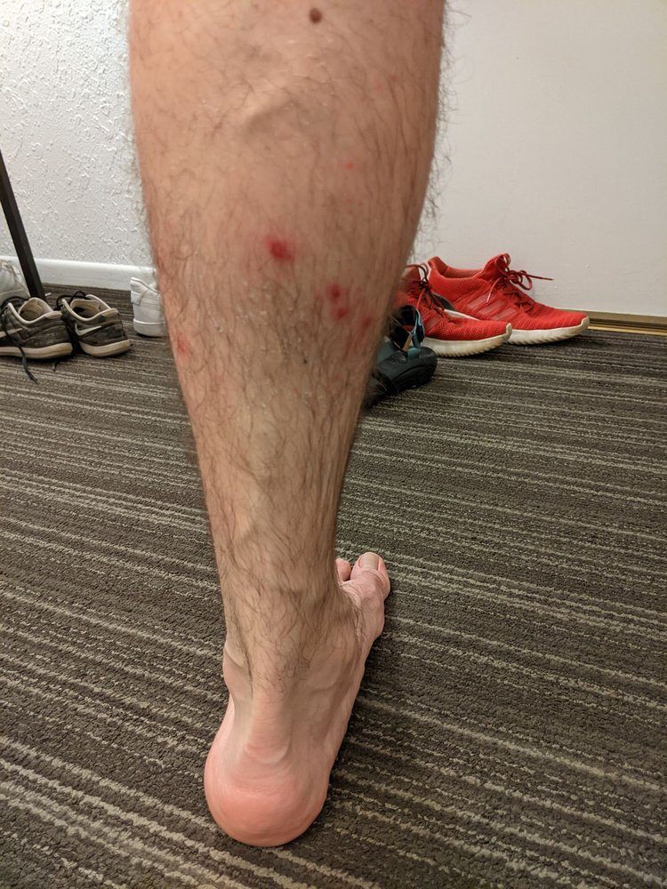 KOKO FOOT MASSAGE 32 Photos & 86 Reviews Massage 301 S Western