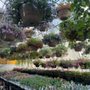Photo of Allen's Garden