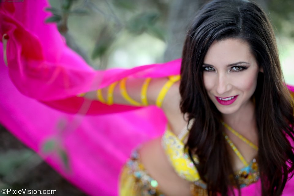 Belly Dance by Andalee Logo