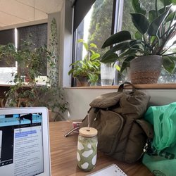 Roxbury Public Library - Lovely magical plant room!