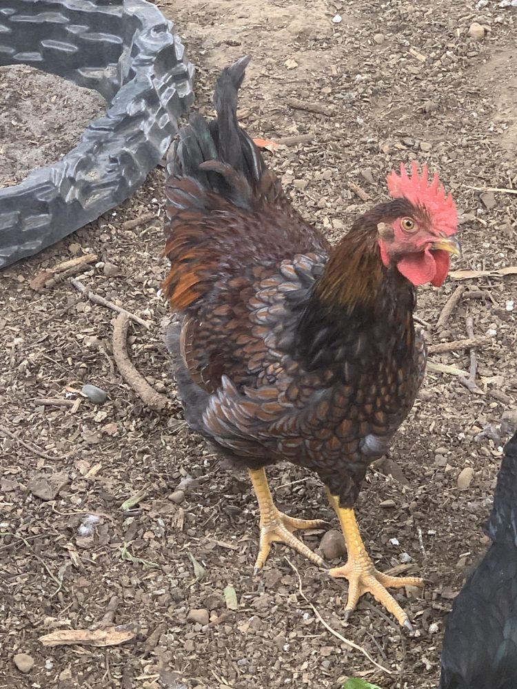 BURNS FEED STORE Updated October 2024 48 Photos & 29 Reviews