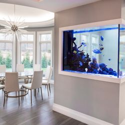 Aqua Creations - Aqua Creations designed, installed, and maintains this custom built-in fish tank in a Lakewood, NJ home, showcasing our teams dedication.