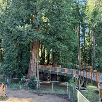 The Redwood Sky Walk - Parks Near Me - Eureka, California