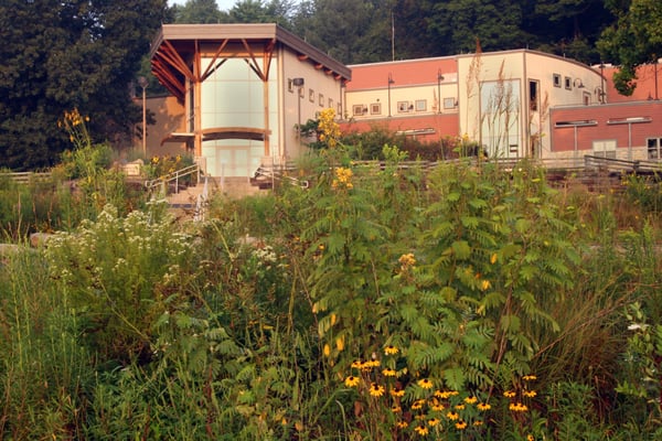 The Wilderness Center by null
