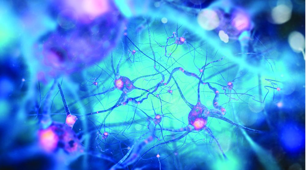 AHMAD ANOUTI 300 Medical Pkwy, Chesapeake, Virginia Neurologist