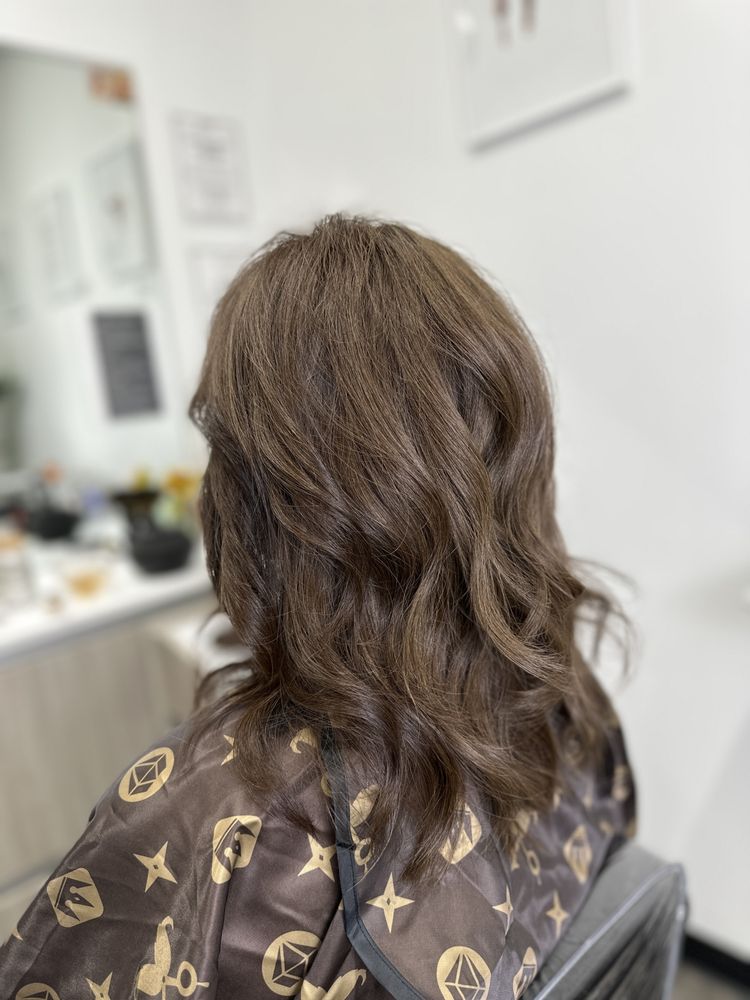 Laslove Hair Styling Logo