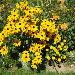 Jardins de l'Évêché