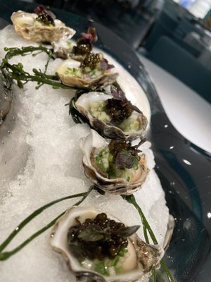 Petrossian at Tiffany by null