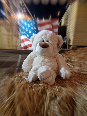 Maricopa County Fair by null