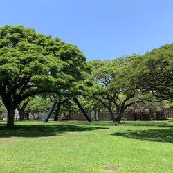 FRANK F FASI CIVIC CENTER - 249 Photos - 530-650 S King St, Honolulu