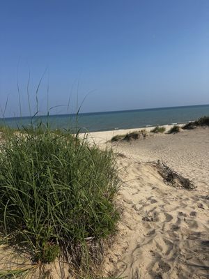 Kohler-Andrae State Park by null