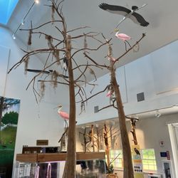 Orlando Wetlands