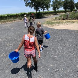 They provide buckets and have a few wagons for use.