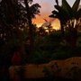 Photo of Garden Abode