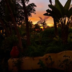 Garden Abode - Sunset view at Garden Abode
