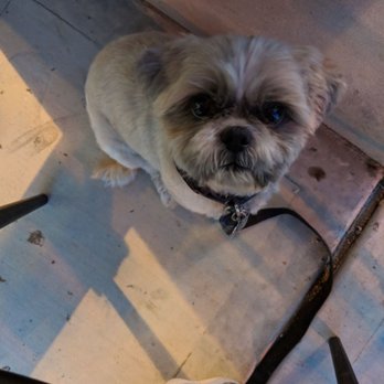uniQue bite eatery - Patio seating for family pets! - New American Near Me - Indio, California