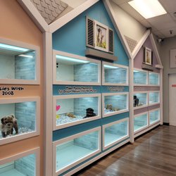 The Puppy Store Henderson