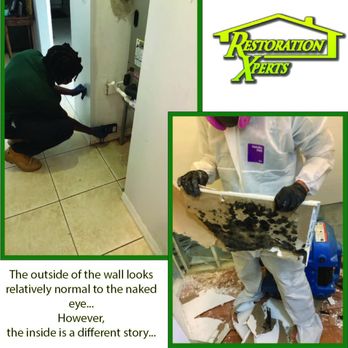 Restoration Xperts - If you have wet walls, you never know what's lurking behind them. - Damage Restoration Near Me - Deerfield Beach, Florida Restoration Xperts - If you have wet walls, you never know what's lurking behind them. - Damage Restoration Near Me - Deerfield Beach, Florida