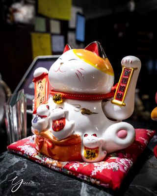 Delicacy Kitchen by null