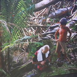 Panorama am Zoo - Der Künstler „Yadegar Asisi“im Regenwald