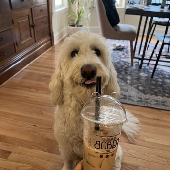 Bober Tea & Mochi Dough - Signature Milk Tea - Bubble Tea Near Me - Minneapolis, Minnesota Bober Tea & Mochi Dough - Signature Milk Tea - Bubble Tea Near Me - Minneapolis, Minnesota