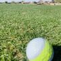 Photo of Poston Butte Golf Club