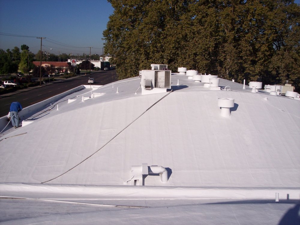 Slide of T.A. Krause