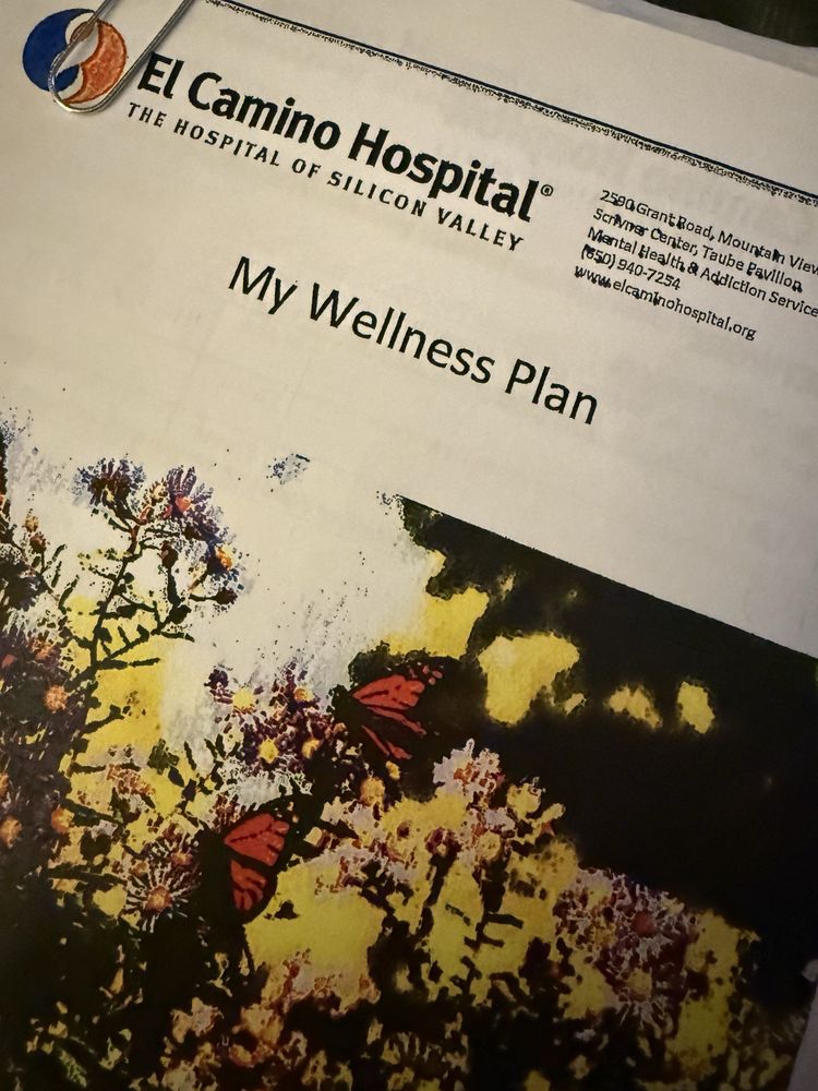 El Camino Hospital Maternal Mood Disorder Program - grief counselor in Mountain View, CA